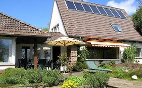 House Am Wung, Husum